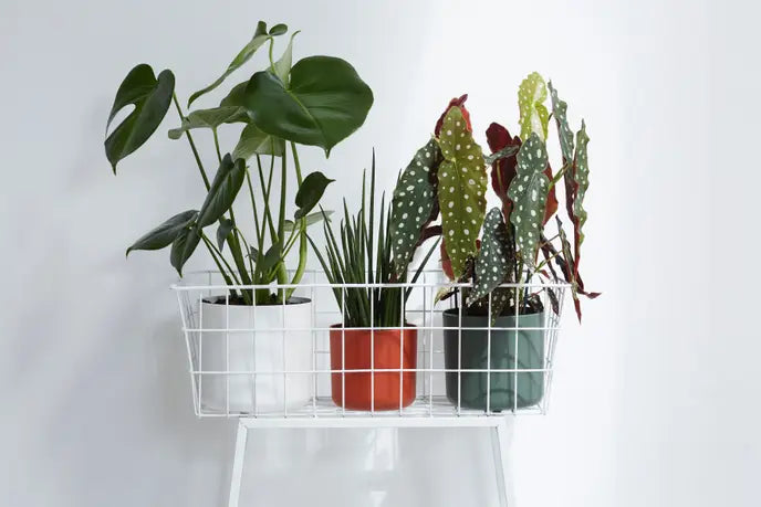 ELHO b.for soft 16cm