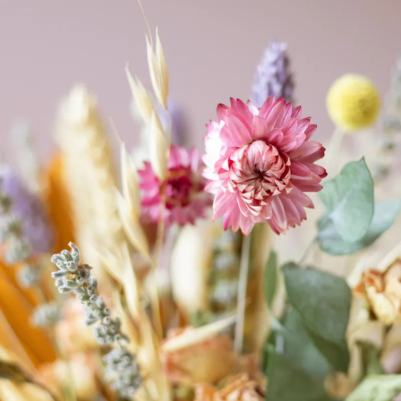 Bouquet di fiori essiccati Pastel + Vaso pieghevole