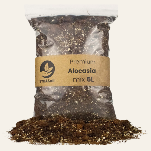 Mix per Alocasia 5L