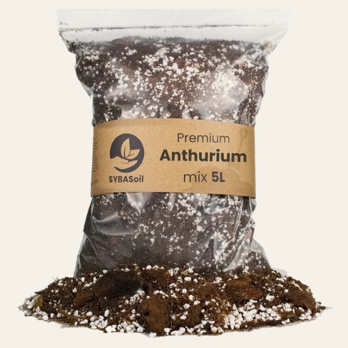 Mix per Anthurium 5L