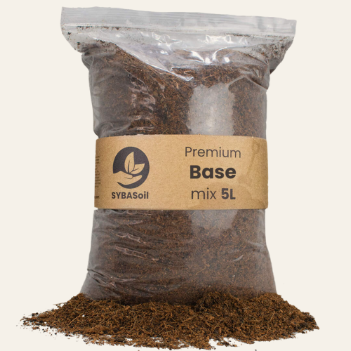 Mix Base 5L