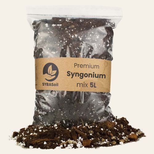 Mix per Syngonium