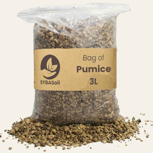 Pomice 3L