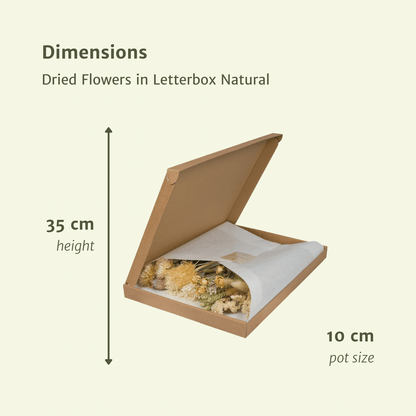 Letterbox Natural di fiori essiccati