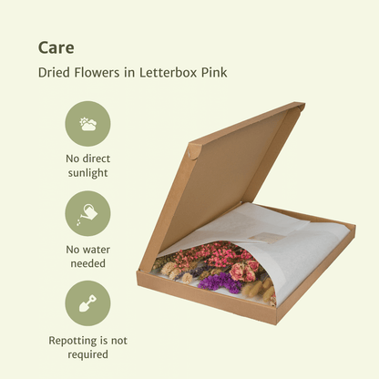 Letterbox Pink – Fiori Essiccati