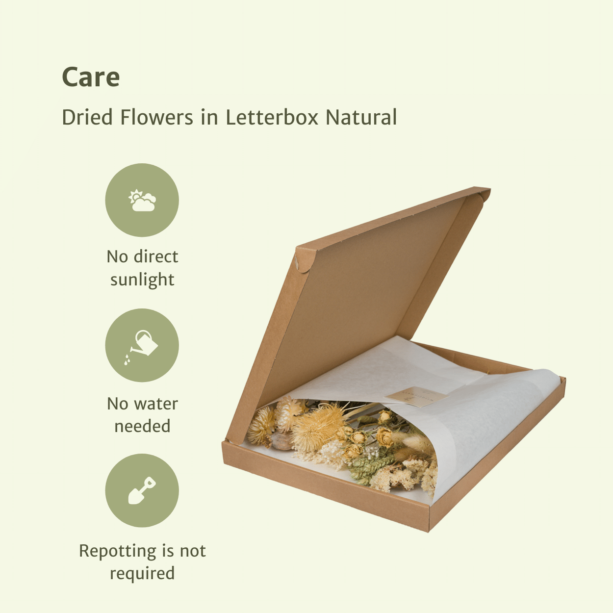 Letterbox Natural di fiori essiccati