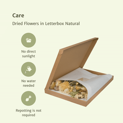 Letterbox Natural di fiori essiccati