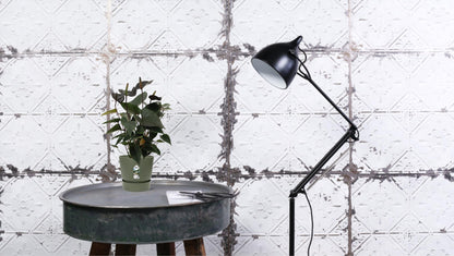 Anthurium Black Love – Vaso Ø12 cm – H 36 cm