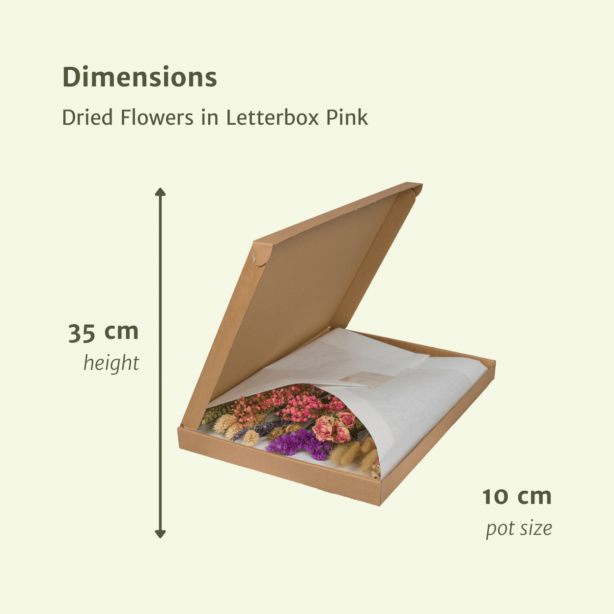 Letterbox Pink – Fiori Essiccati
