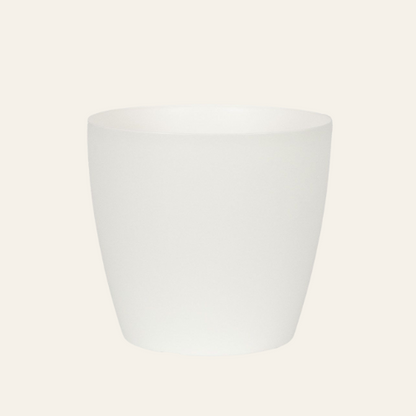 Vaso Saremo 8cm