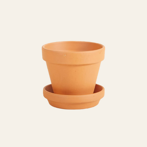Vaso Terracotta  8cm